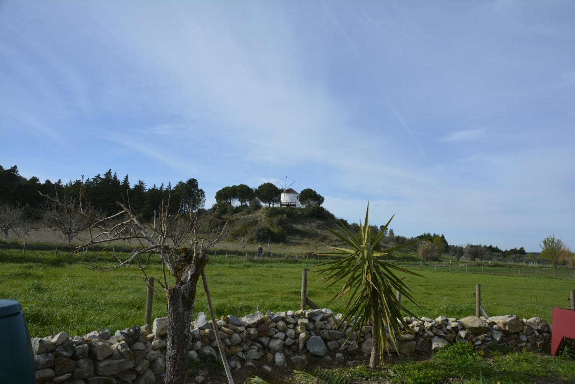 Casa Da Lima - Nestled In Nature On Santiago'S And Fatima'S Path, Close To Coimbra And Rabacal Alvorge Exteriör bild