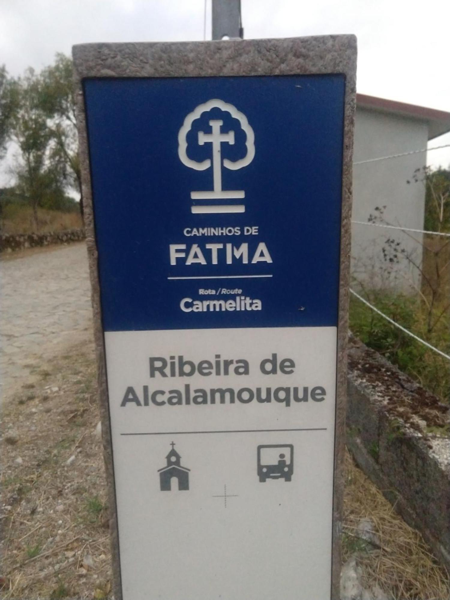 Casa Da Lima - Nestled In Nature On Santiago'S And Fatima'S Path, Close To Coimbra And Rabacal Alvorge Exteriör bild