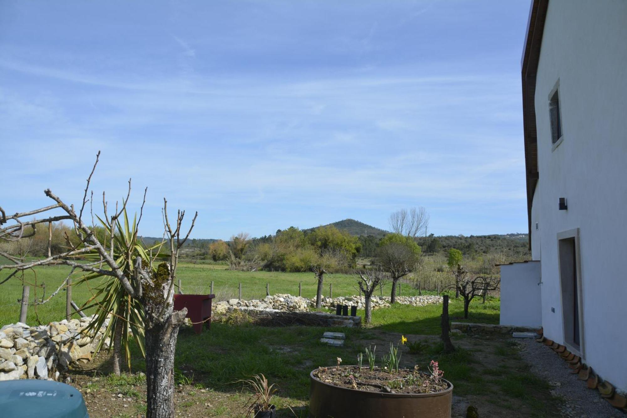 Casa Da Lima - Nestled In Nature On Santiago'S And Fatima'S Path, Close To Coimbra And Rabacal Alvorge Exteriör bild