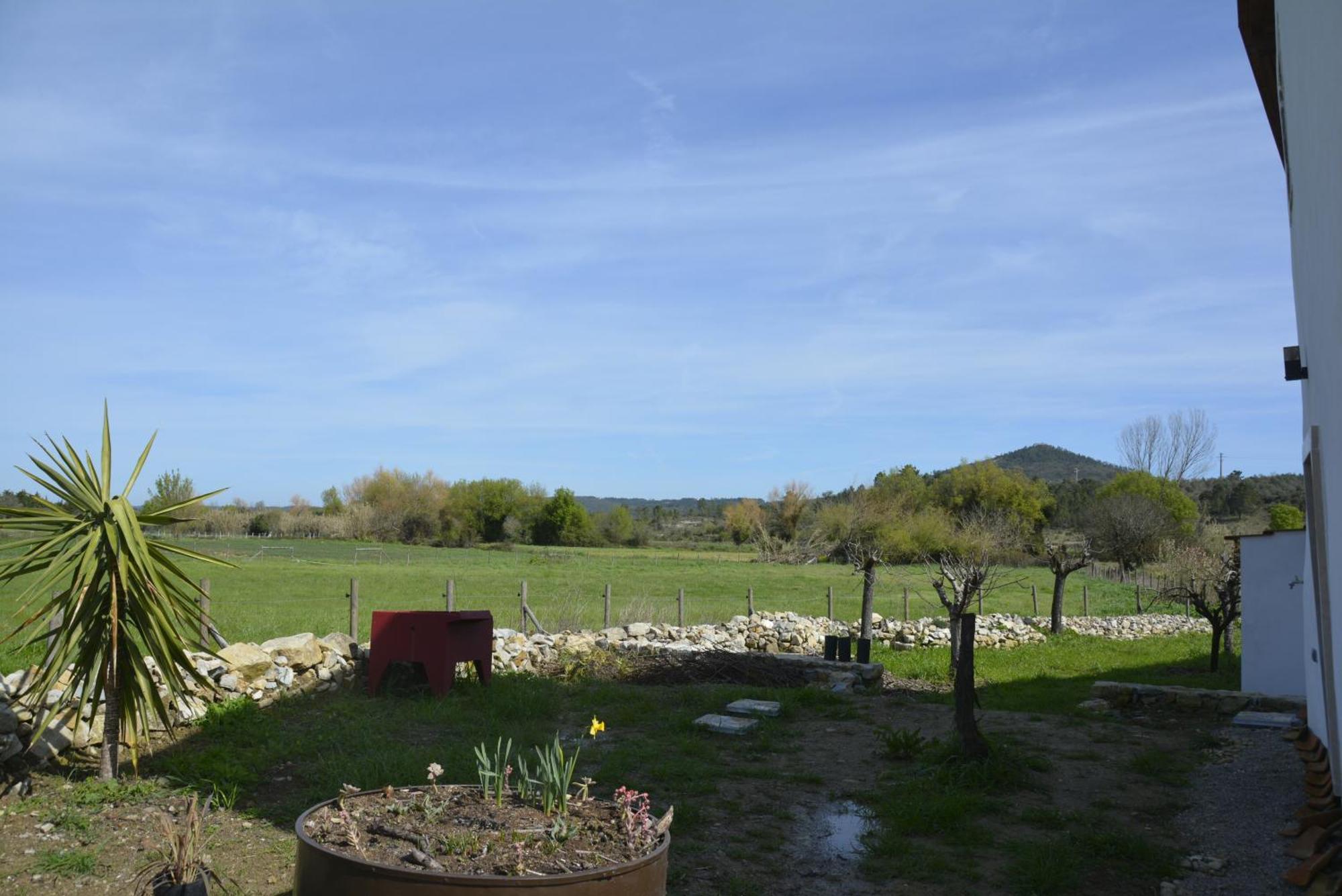 Casa Da Lima - Nestled In Nature On Santiago'S And Fatima'S Path, Close To Coimbra And Rabacal Alvorge Exteriör bild