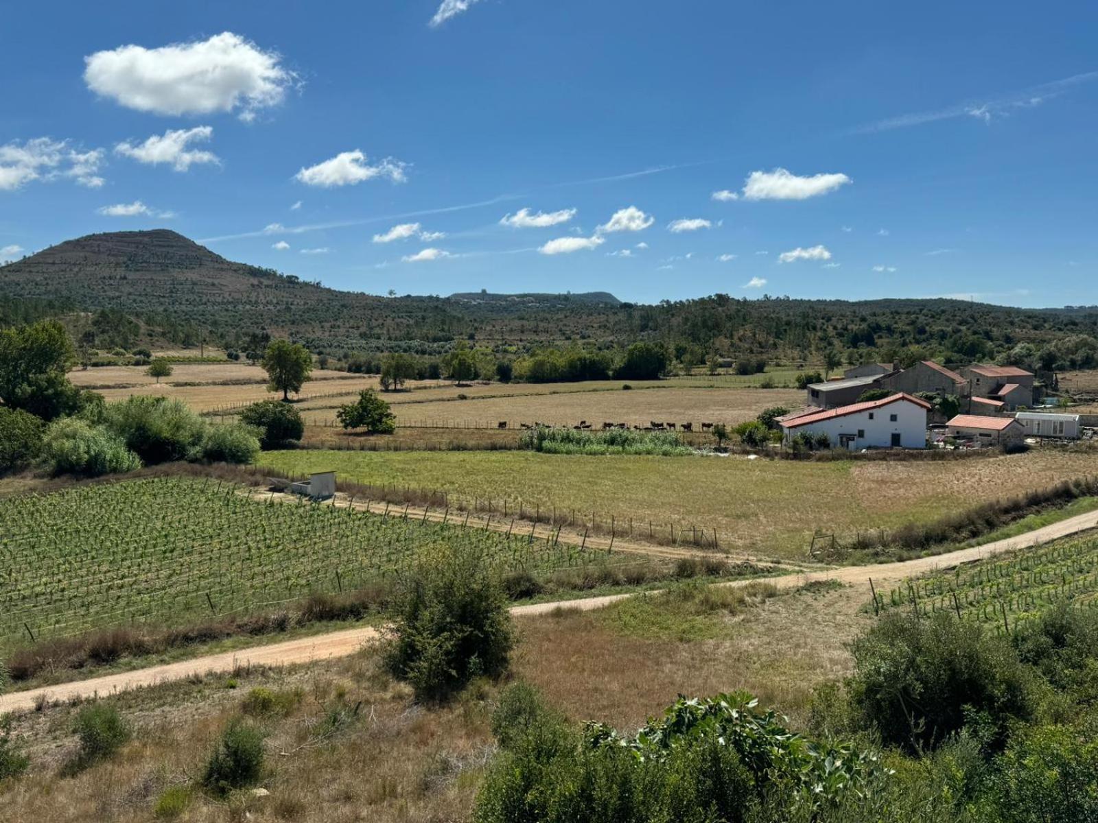 Casa Da Lima - Nestled In Nature On Santiago'S And Fatima'S Path, Close To Coimbra And Rabacal Alvorge Exteriör bild