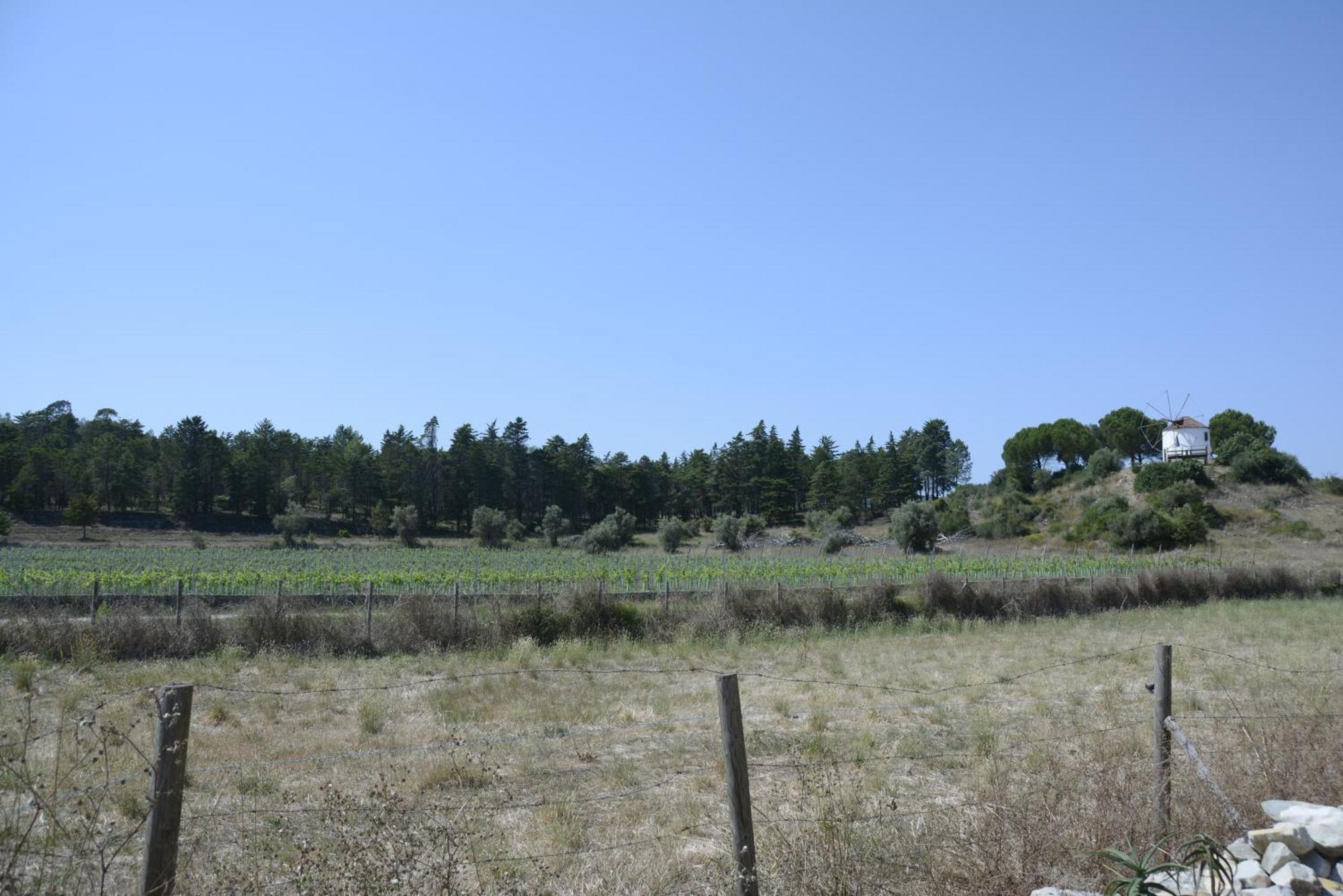 Casa Da Lima - Nestled In Nature On Santiago'S And Fatima'S Path, Close To Coimbra And Rabacal Alvorge Exteriör bild