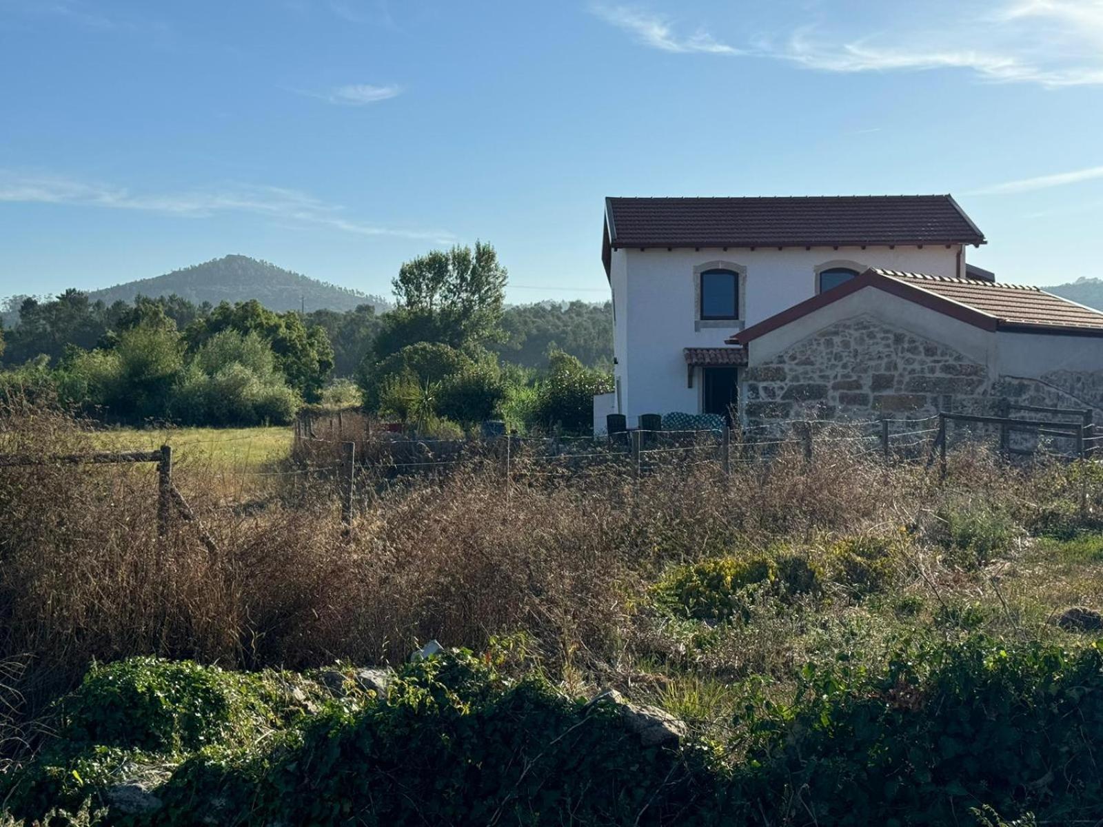 Casa Da Lima - Nestled In Nature On Santiago'S And Fatima'S Path, Close To Coimbra And Rabacal Alvorge Exteriör bild