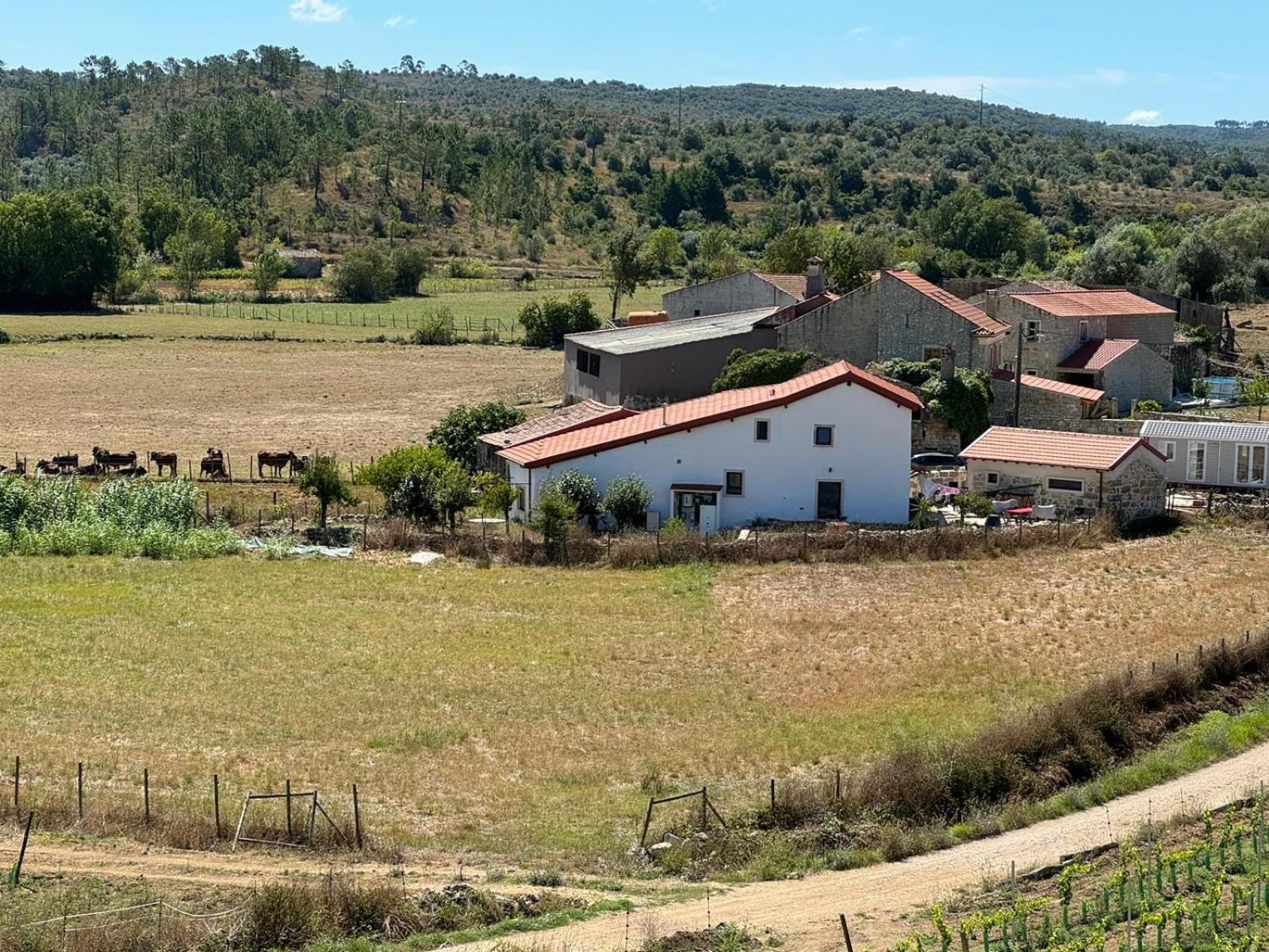 Casa Da Lima - Nestled In Nature On Santiago'S And Fatima'S Path, Close To Coimbra And Rabacal Alvorge Exteriör bild