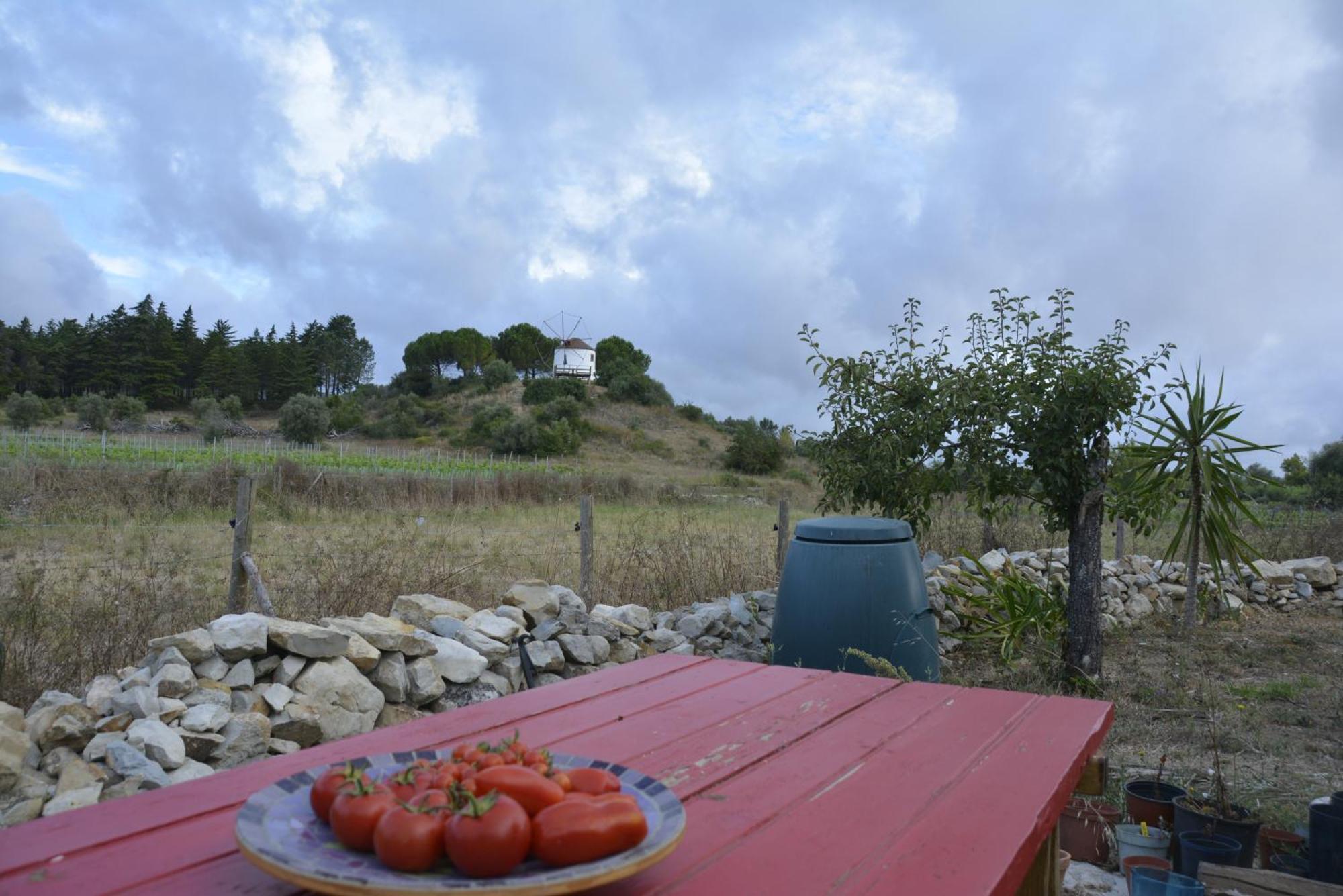 Casa Da Lima - Nestled In Nature On Santiago'S And Fatima'S Path, Close To Coimbra And Rabacal Alvorge Exteriör bild