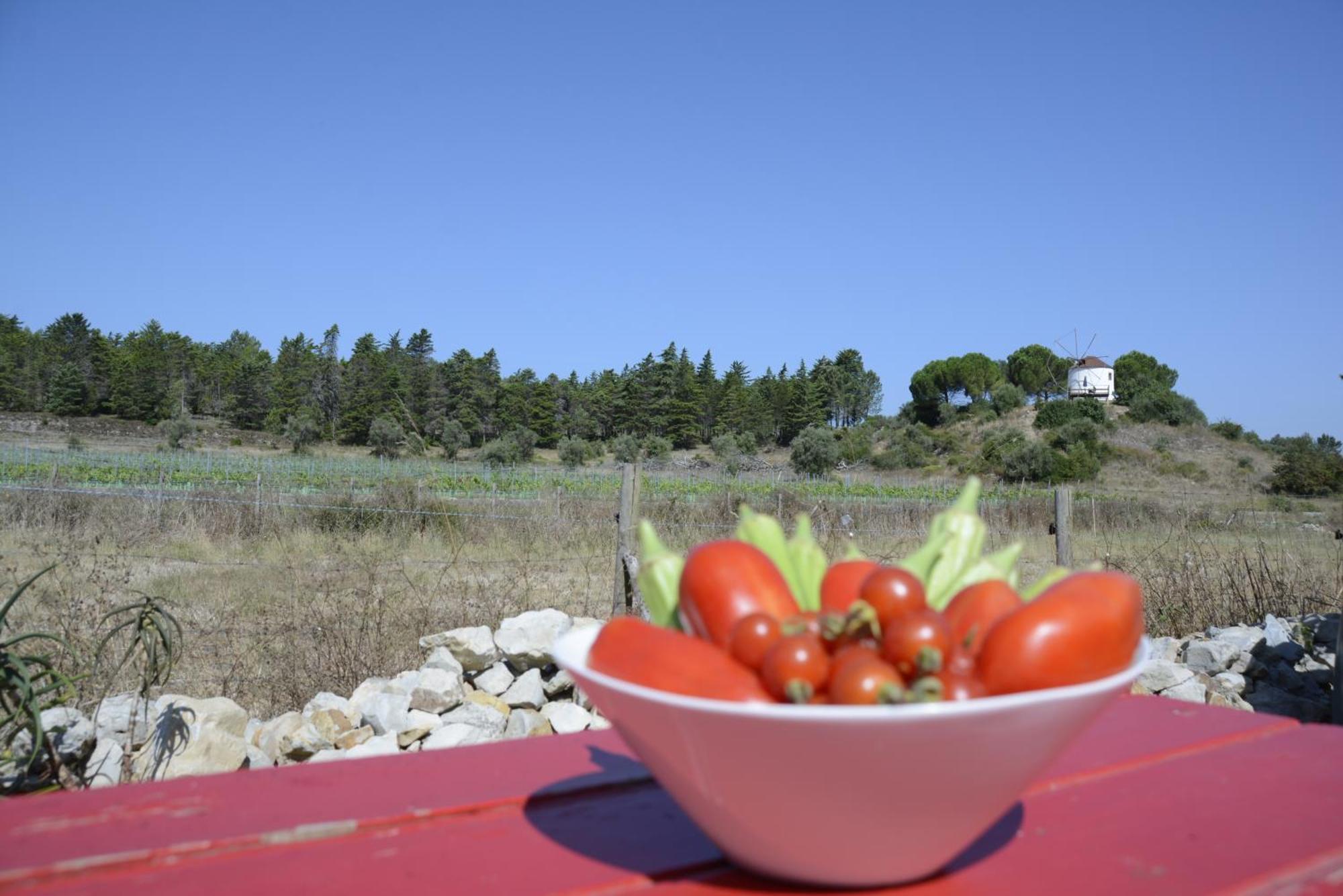 Casa Da Lima - Nestled In Nature On Santiago'S And Fatima'S Path, Close To Coimbra And Rabacal Alvorge Exteriör bild