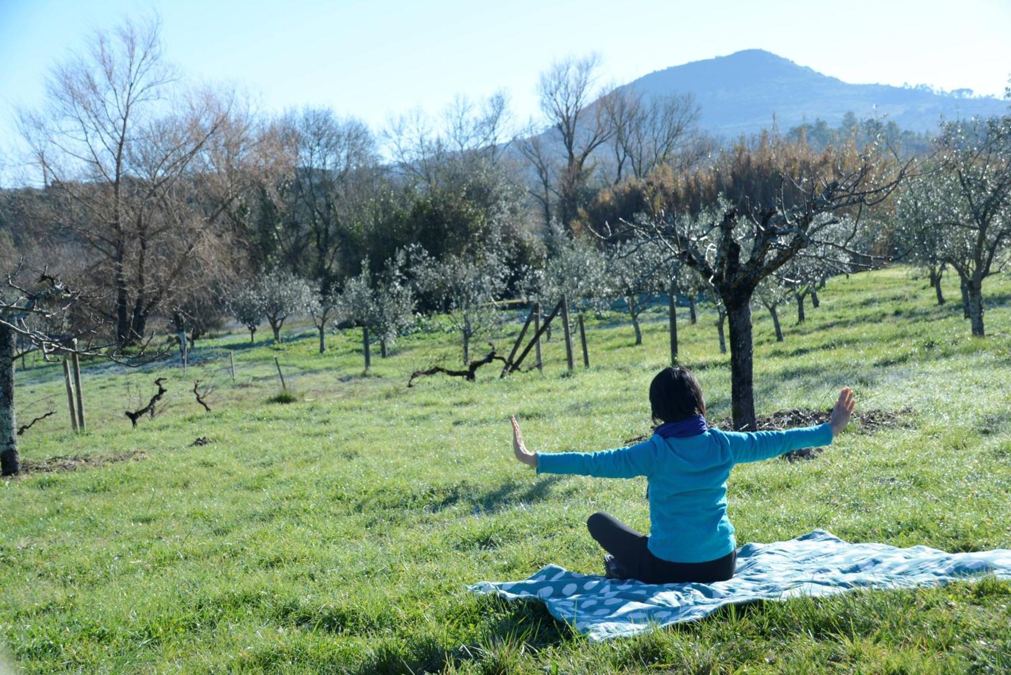 Casa Da Lima - Nestled In Nature On Santiago'S And Fatima'S Path, Close To Coimbra And Rabacal Alvorge Exteriör bild