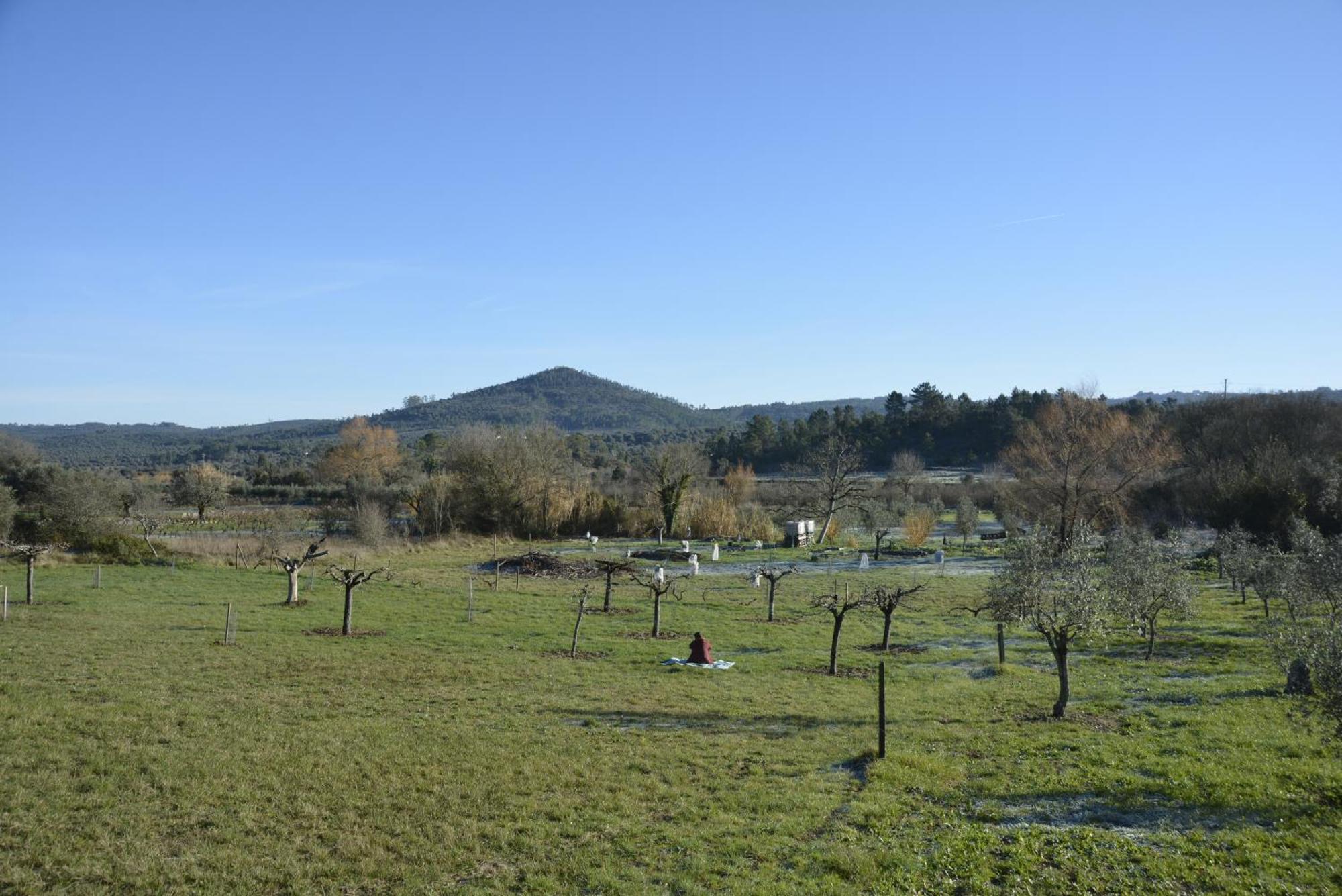 Casa Da Lima - Nestled In Nature On Santiago'S And Fatima'S Path, Close To Coimbra And Rabacal Alvorge Exteriör bild